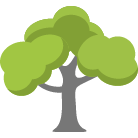 Lewes Tree Removal