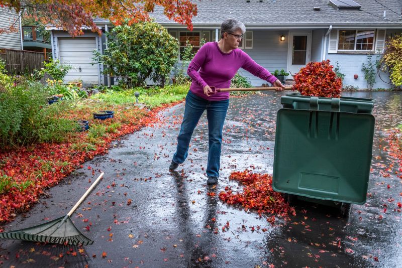 Leaf Raking